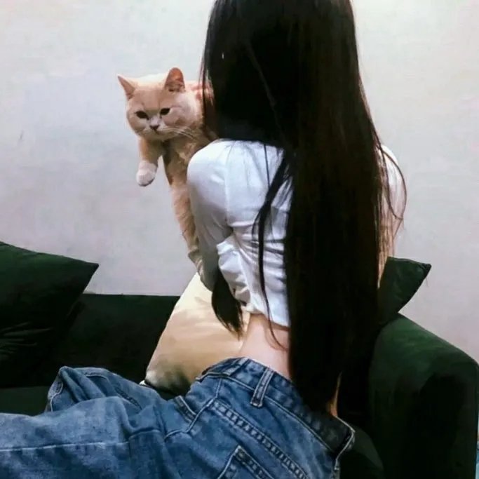 妈妈咪呀2